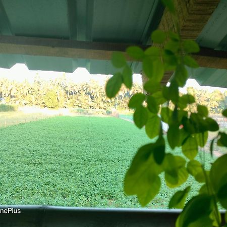 Ocean Sparrow Beach Stay Gokarna  Habitación foto