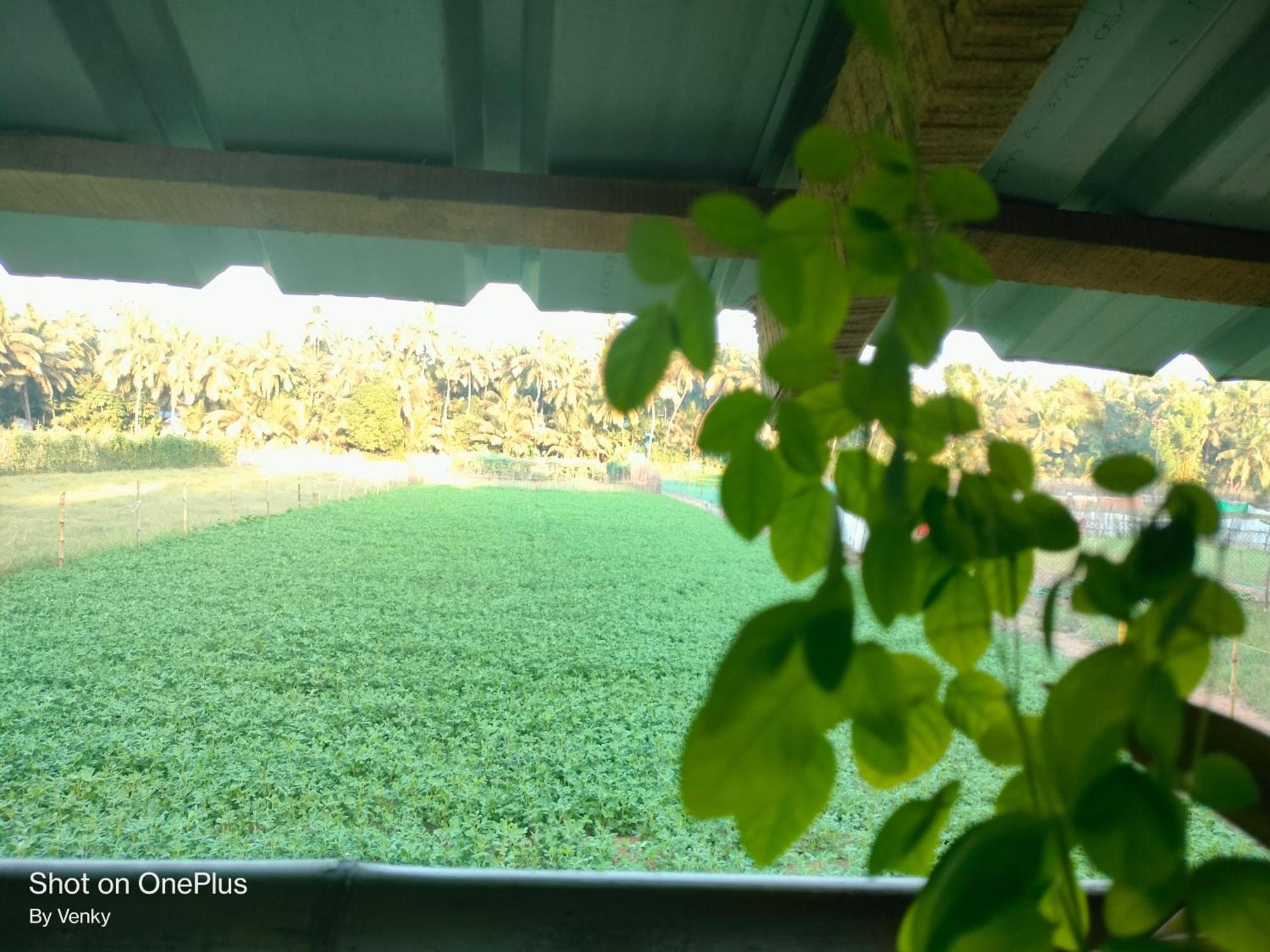 Ocean Sparrow Beach Stay Gokarna  Habitación foto